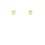 18ct Yellow Gold 'Disc' Studs